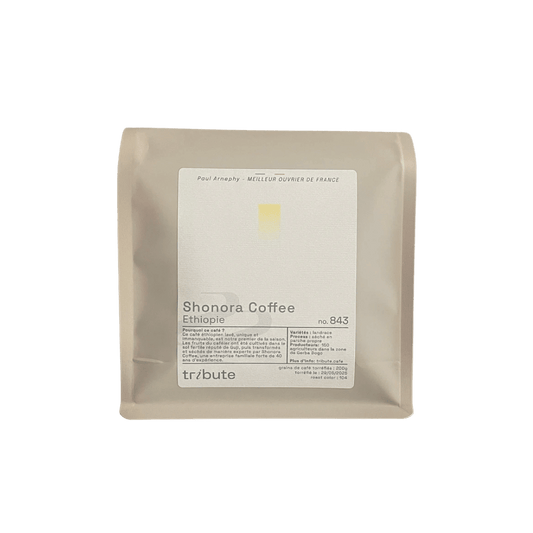 Tribute - Shonora Coffee Ethiopia