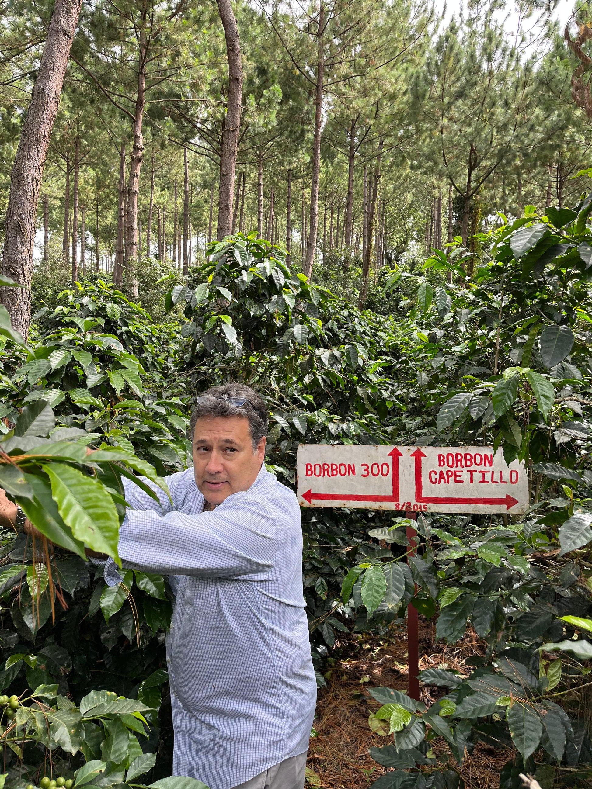 Parcel - GUA003 Finca San Jose Ocana Filter Coffee Guatemala Farm