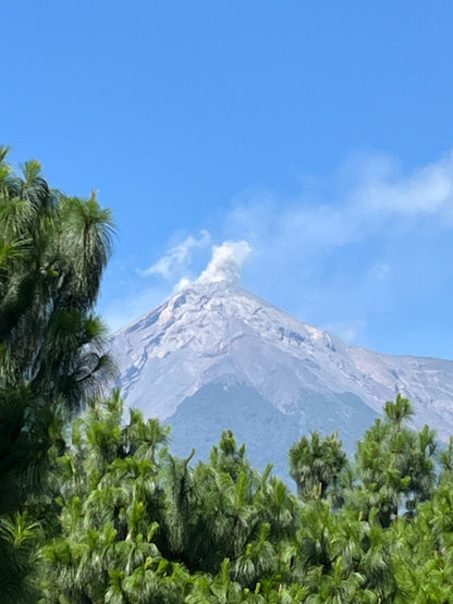 Parcel - GUA001 Finca El Potrero Omni Coffee Guatemala View