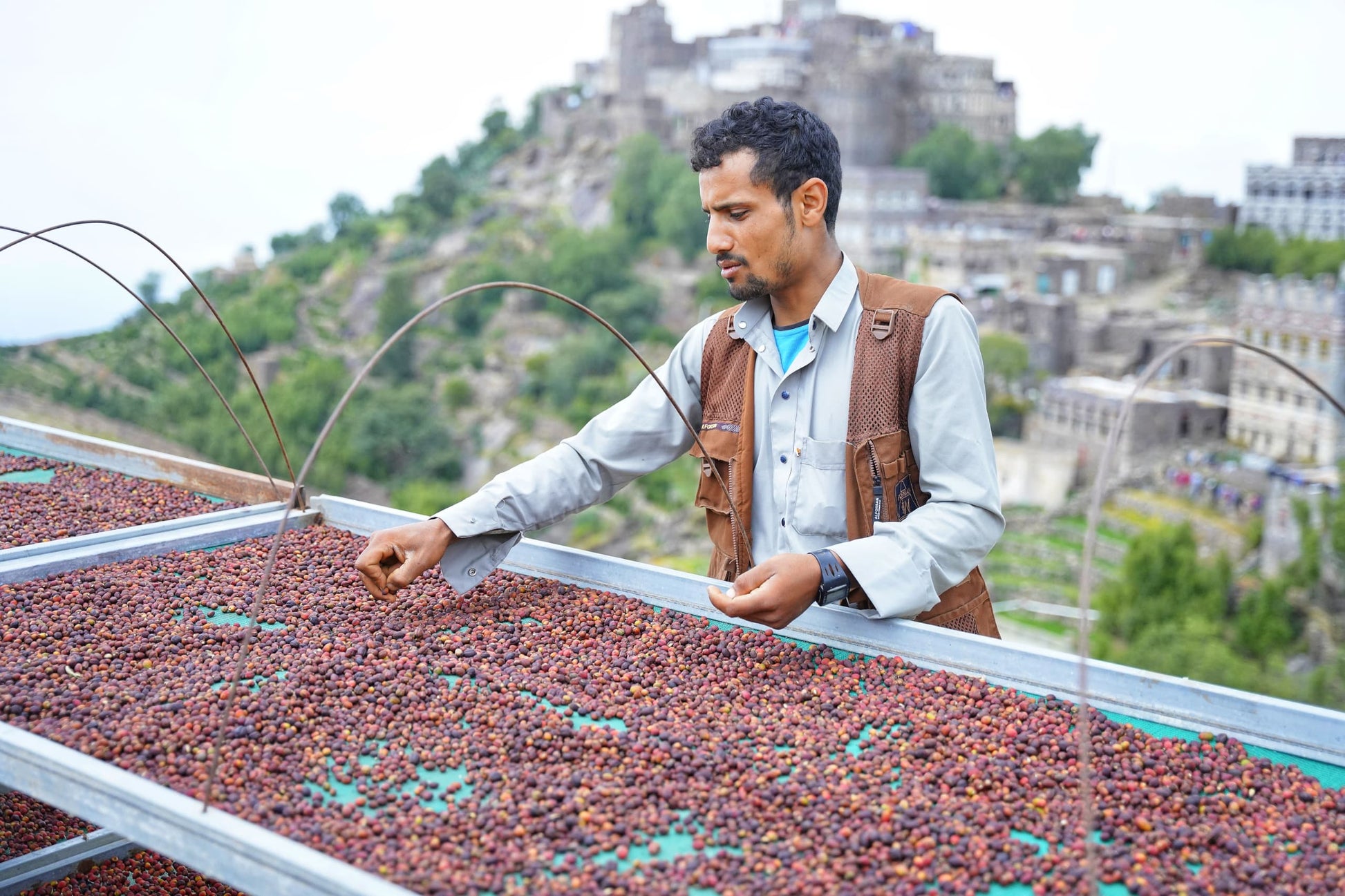 KB Coffee Roasters - Hydra Reviva Filter Coffee Yemen Coffee Drying