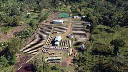 Parcel - Halo Beriti Filter Coffee Ethiopia Washing Station