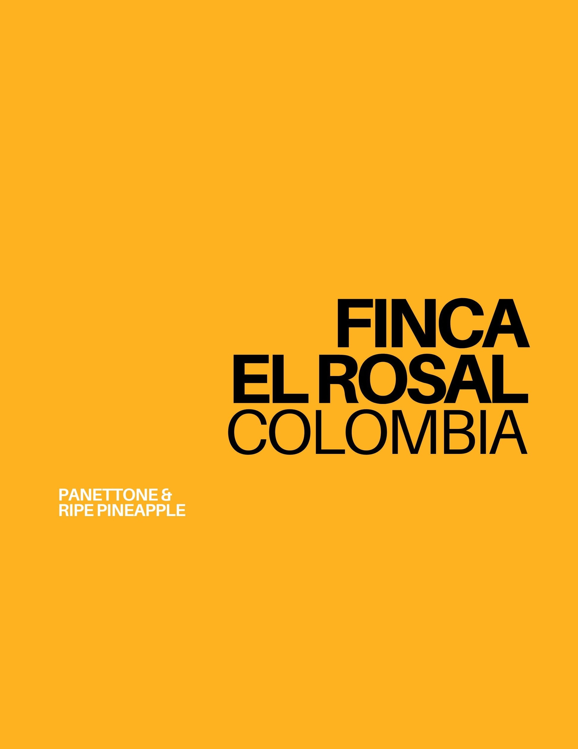 Gust Coffee Roasters - Finca El Rosal Filter Coffee Colombia Tasting Notes
