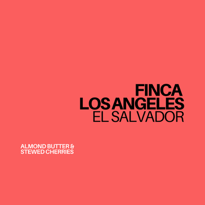 Gust Coffee Roasters - Finca Los Angeles Filter Coffee El Salvador Tasting Notes