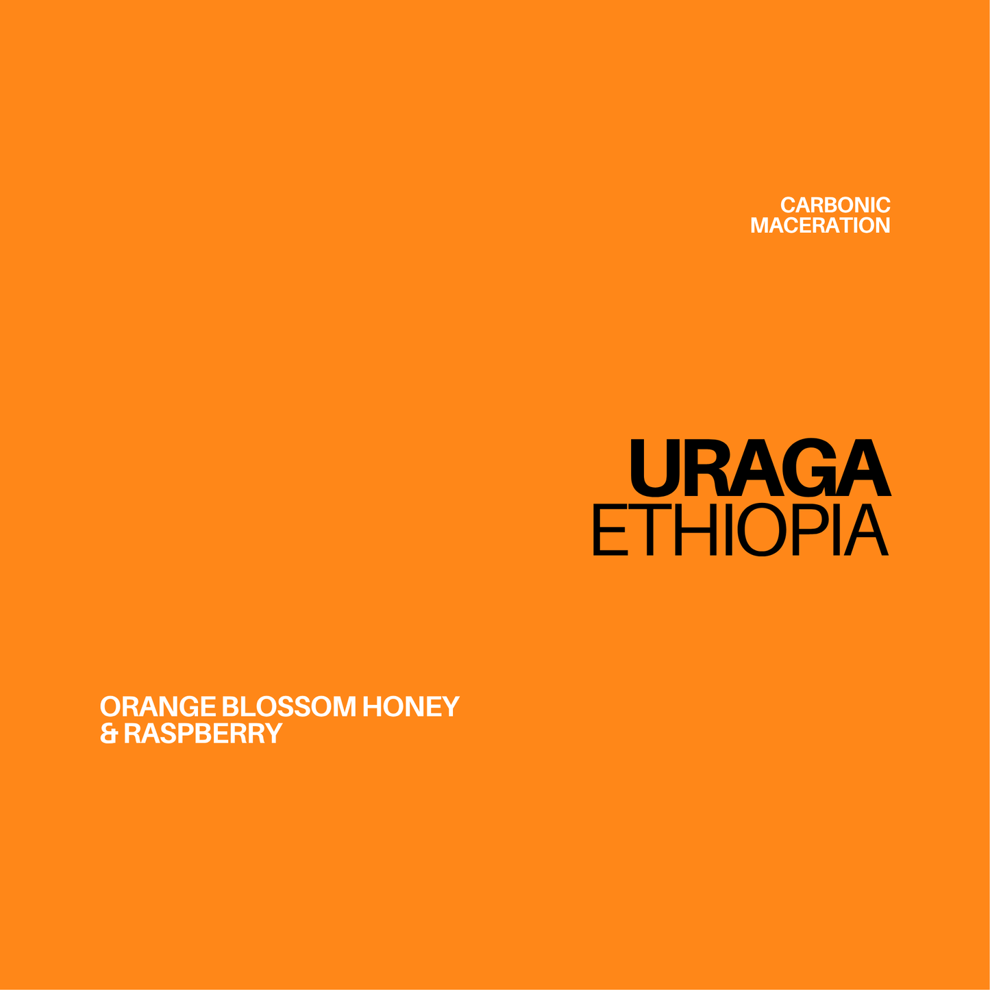 Gust Coffee Roasters - Uraga Filter Coffee Ethiopia Tasting Notes