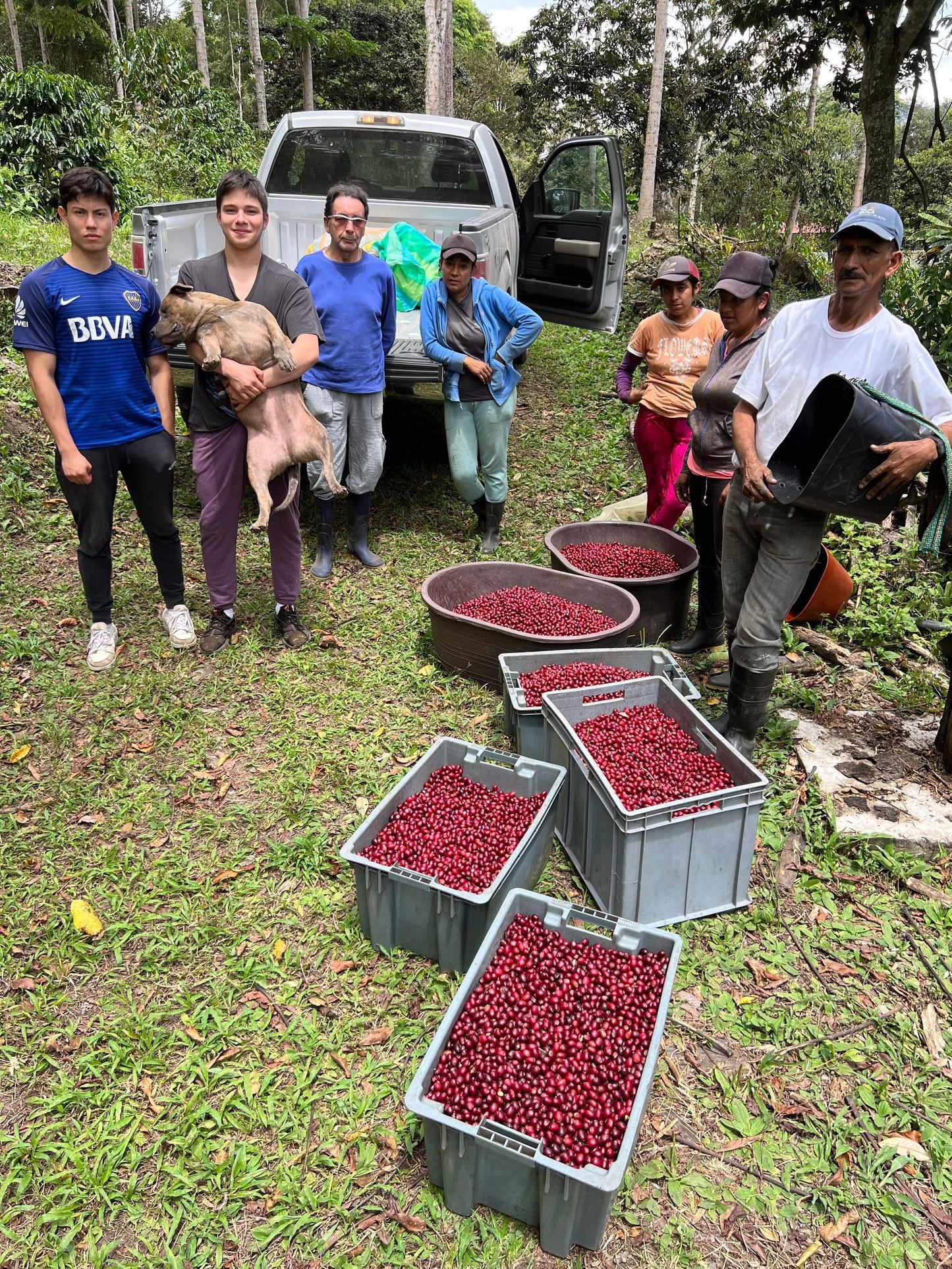 Parcel - ECU001 La Soledad Filter Coffee Ecuador Coffee Harvest