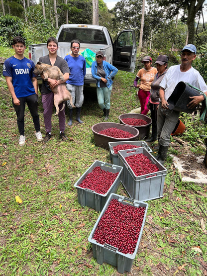 Parcel - ECU001 La Soledad Filter Coffee Ecuador Coffee Harvest